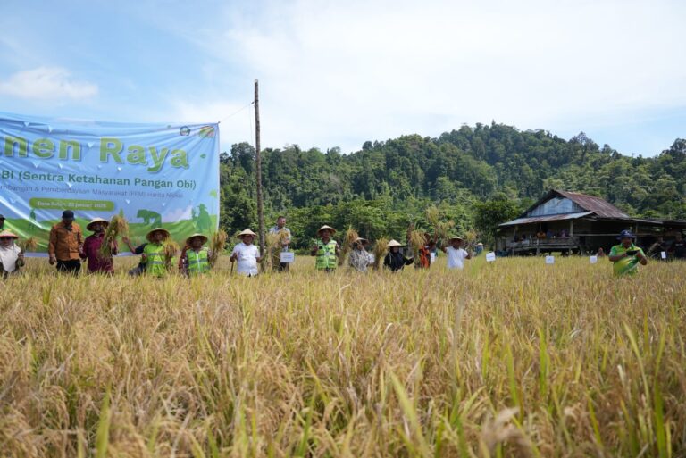 IMG-20260127-WA0230(1)