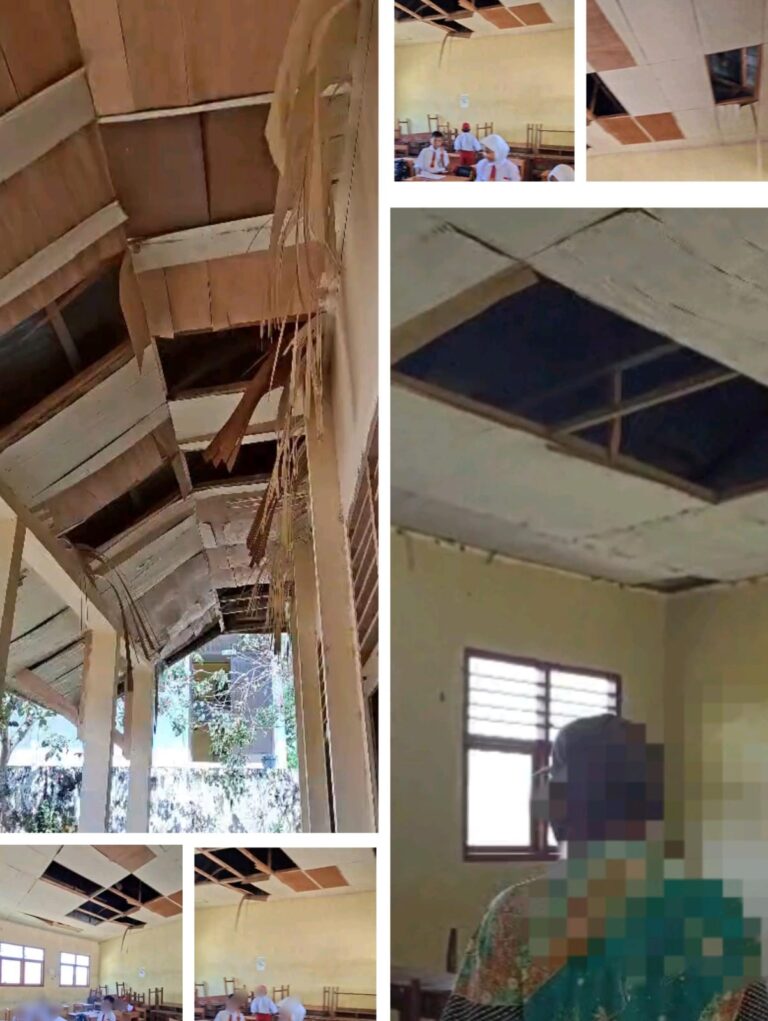 IMG-20260203-WA0073(1)