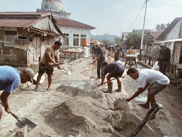 IMG-20260214-WA0126(1)